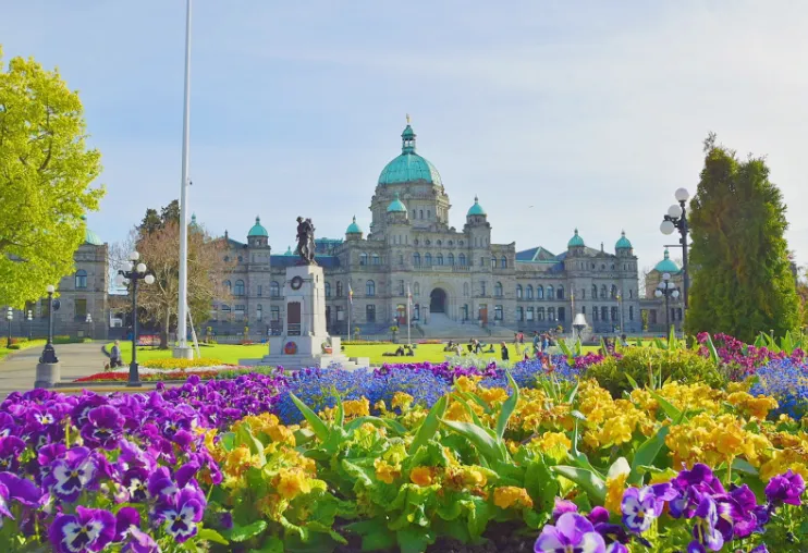 カナダの都市ビクトリアの州議事堂と花畑の画像